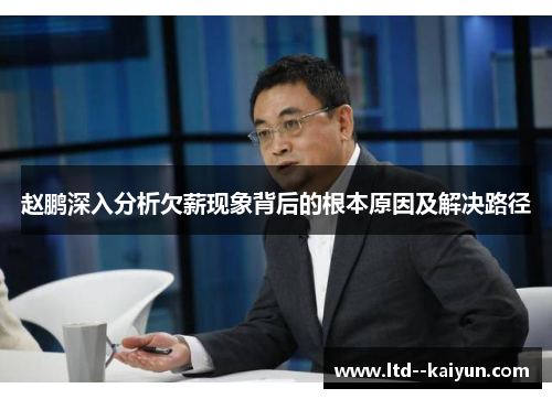 赵鹏深入分析欠薪现象背后的根本原因及解决路径