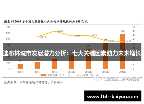 迪布林城市发展潜力分析：七大关键因素助力未来增长